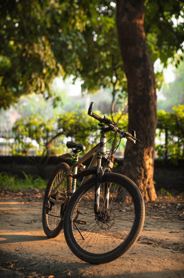 Top choix de pneus vtt 24 pouces pour vos aventures en plein air